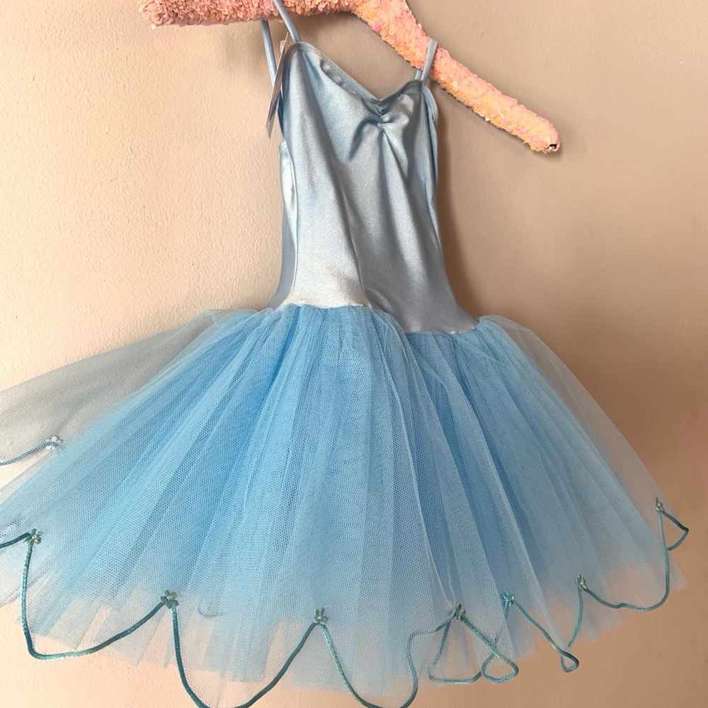 Pastel Blue Dance Tutu